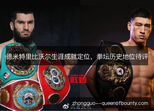 德米特里比沃尔生涯成就定位，拳坛历史地位待评
